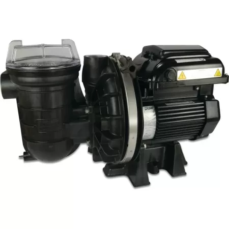 Sta-Rite Pompa basenowa 1 1/2" GW 230VAC czarny typ P-STR-VS2m 1,5KM 7036455